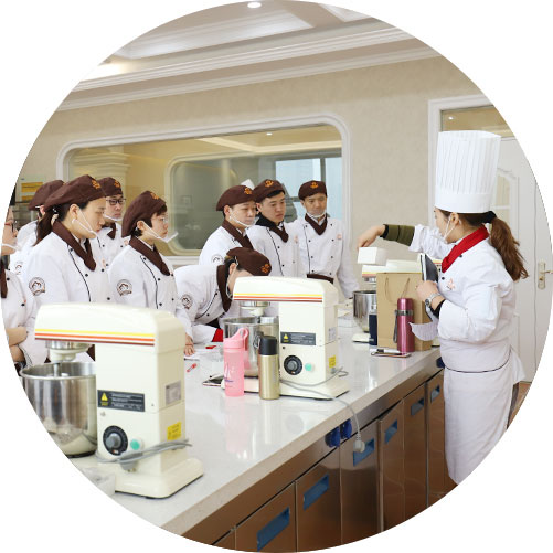 教学师资/教学模式