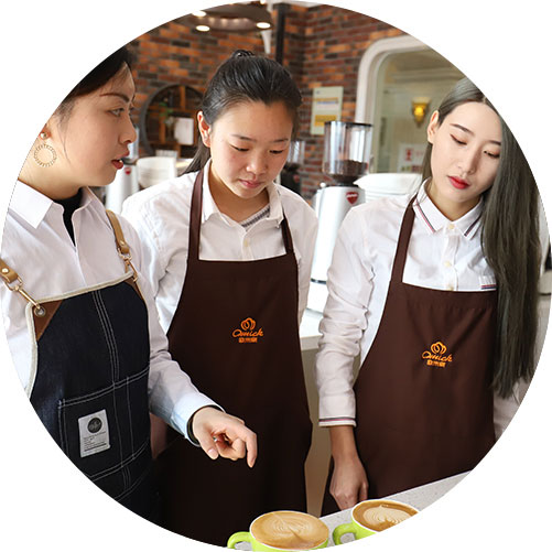 教学师资/教学模式